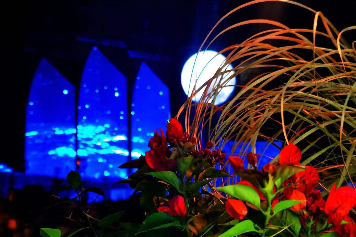 北海海丝首港项目（网屏）