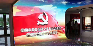 吉林省德惠市非公有制企业和社会组织党建指导服务中心天幕地砖曲屏组合