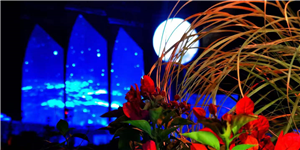 北海海丝首港项目（网屏）