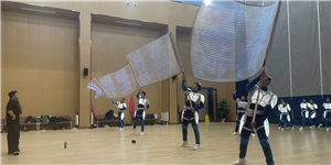 苏州项目 旗帜屏