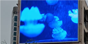 广州莲香楼项目，户外P8，商业户外显示屏