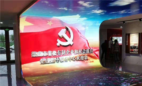 吉林省德惠市非公有制企业和社会组织党建指导服务中心天幕地砖曲屏组合